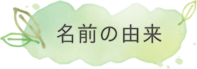 名前の由来